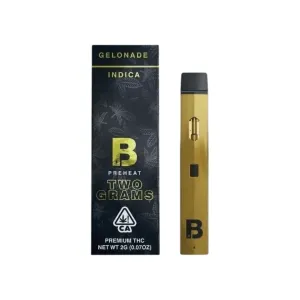 Koop Blinkers Disposable Vape 2 Gram – Premium Disposable Vape
