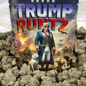 kopen Trump Runtz