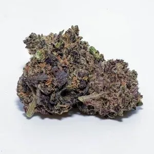 Koop Acai Gelato Strain
