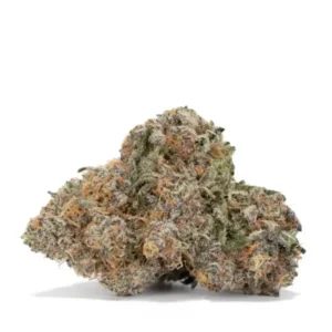 Koop Rocket Fuel Strain