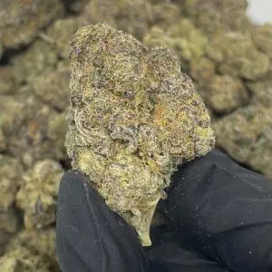 Koop Grape Soda Strain