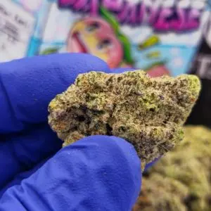 Koop de Japanese Peaches Strain