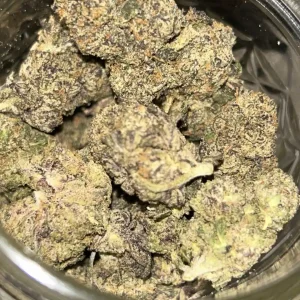Koop Kool Aid Strain