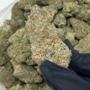 Kopen Mac Doughnuts Strain